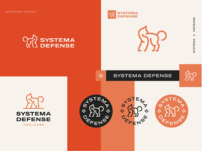 Systema defense logo V1 branding logo logo design systema
