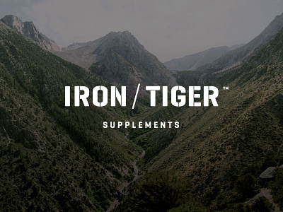 Iron Tiger brand branding iron tiger logo stencil workhorse