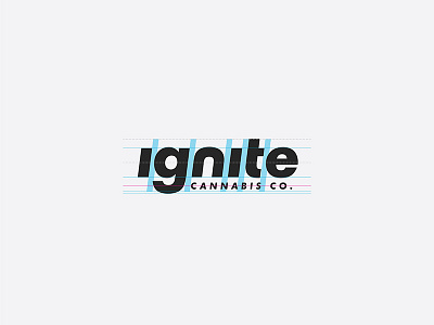 Ignite Cannabis Co. — Exercise bilzerian cannabis construction dan ignite logo logotype packaging wordmark