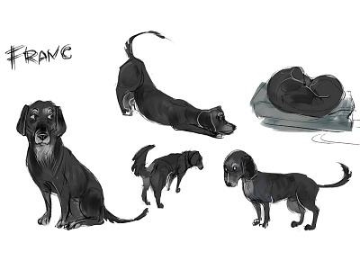 Dog character design 2d character character design design digital dog art drawing illustration illustrator