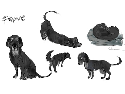 Dog character design