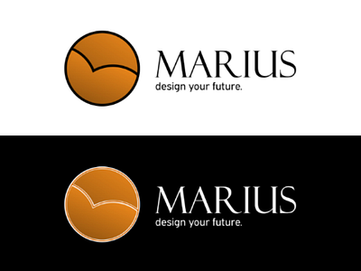 Marius logo - Design agency brand design logo typography visual