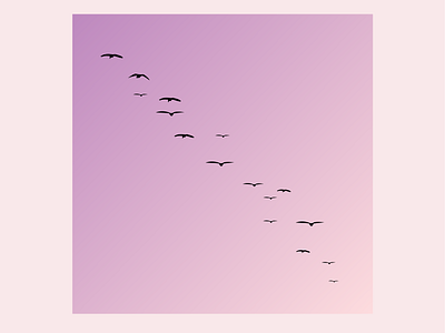 Seagulls bird design illustration logo pink purple sunset vector