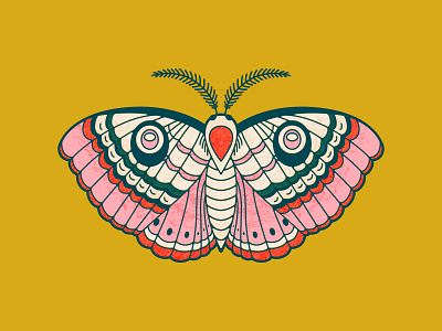 Moth Design butterfly illustration linework moth moth illustration vector