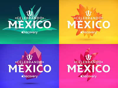 Celebrando México 3d cinema4d discovery flower flowers mexico xochitl