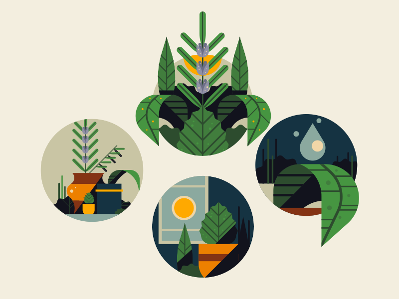 Herb Garden Icons By Aldo Crusher On Dribbble