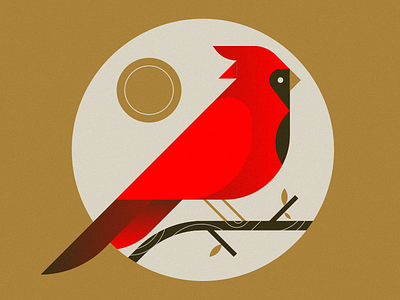 Cardinal bird bird illustration branch cardinal sun
