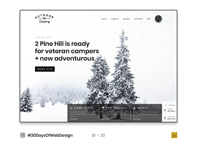 01 - 30 Instagram #30DaysOfWebDesign Challenge adobe illustrator branding figmadesign icon logo typography ui ux ui design web