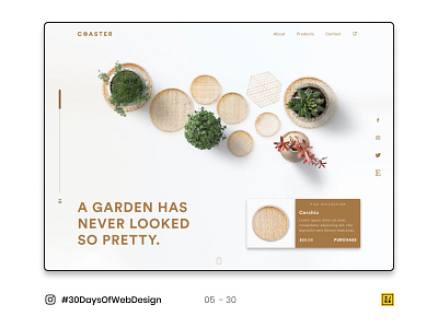 05 - 30 Instagram #30DaysOfWebDesign Challenge branding figmadesign logo photoshop ui ux website vector
