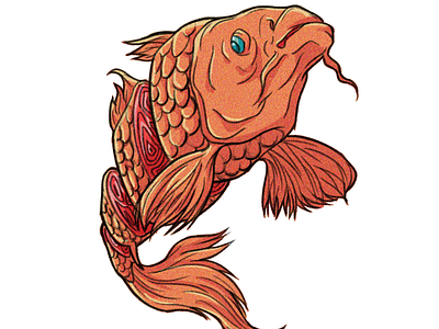 Carp Fish