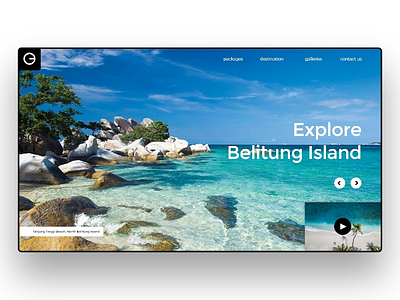 Tour Travel Website Concept