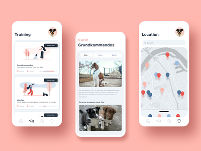 Dogcation App - Shot 2 app concept design dog education app graphic illustration procreate ui ux