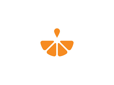 Fresh Fruit Baskets Logo Icon basket drip drop fresh icon logo orange wedge