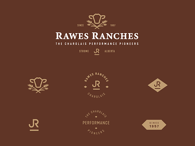Rawes Ranches Logo + Brand Assets alberta assets brand bull cattle farming logo ranch