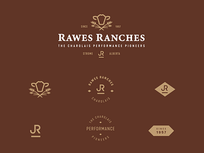 Rawes Ranches Logo + Brand Assets