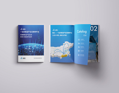 2020船汇APP项目画册设计 design 画册