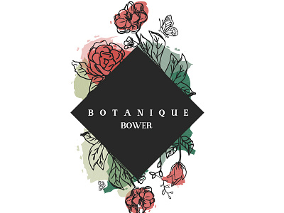 botanique BOWER botanique butterfly colorful creative flower handdrawn illustration