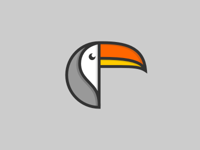 Toucan animal bird illustration toucan