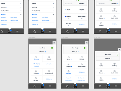 User panel variations