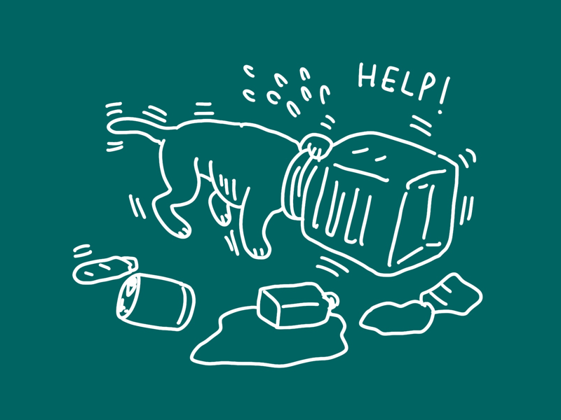 Dog stuck in a bottle ranger team help helping survive pet bottle garbage protect environment nature save dog