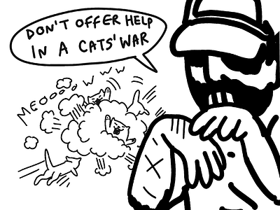 New lesson of the day battle cat cats fight kitten meow war