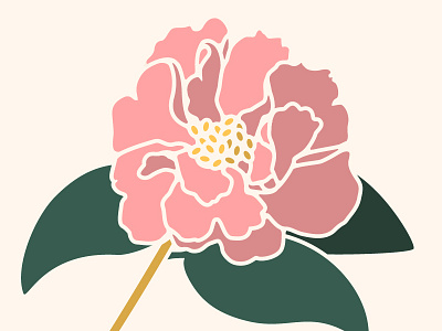 Camellia Study #1 contour drawing flower flowers granny colors illustration illustrations line pink