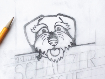 Miniature Schnauzer Logo Sketch