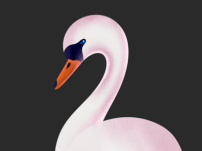 Swan app art bird branding brush design digital art digital design galshir graphic design illustration ipad logo painting procreate sketch swan texture ui vector