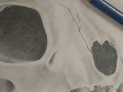 Skull - A Just Because Sketch animal skulls pencil shading sketch skull