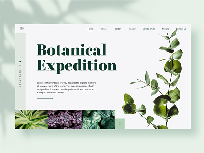 Botanical Expedition botanical botany classes garden plants platform ui design web design website