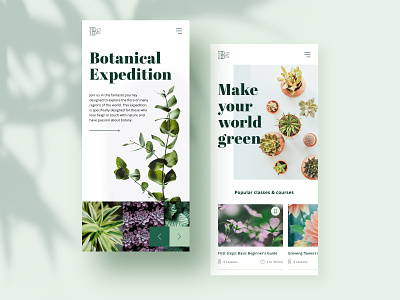 Responsive design botanical botany minimalist modern plants responsive responsive design responsive website uidesign webdesign