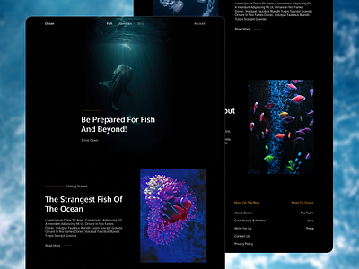 Ocean Website