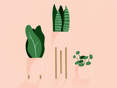 Pot Plants design drawing flat illustration graphic green illustration ipad pro pink plant illustration plants procreate simple texture