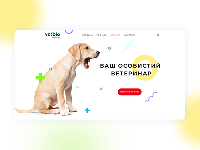 Veterinary site design minimal typography ui web website