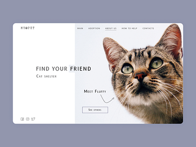 Cat shelter art cat concept design landing landingpage logo minimal shelter typography ui web website