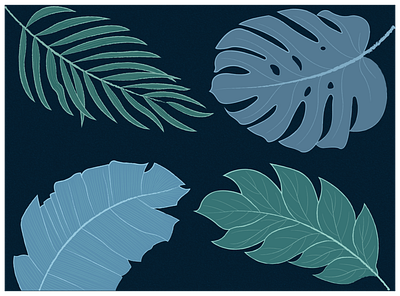 Nature illustration adobe illustrator art artist illustraion leaf nature vector vector ai illustration