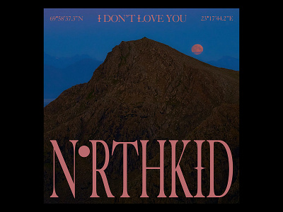 NORTHKID - I DON'T LOVE YOU artist artwork blue brown cover mountain music norway pop serif single sunrise sunset typography