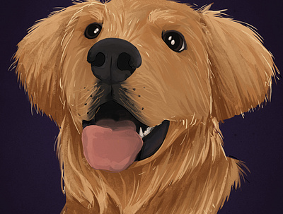 Doggo animal animal illustration art chacarter design children art children book illustration dog dog illustration golden retriever illustration puppy