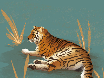 Tiger animal animal illustration art charactedesign children art children book illustration fauna illustration nature tiger