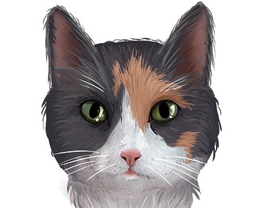 Cat cat charactedesign children art children book illustration illustration kitty portrait