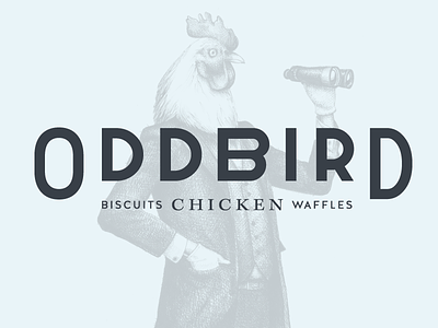Oddbird bird chicken restaurant