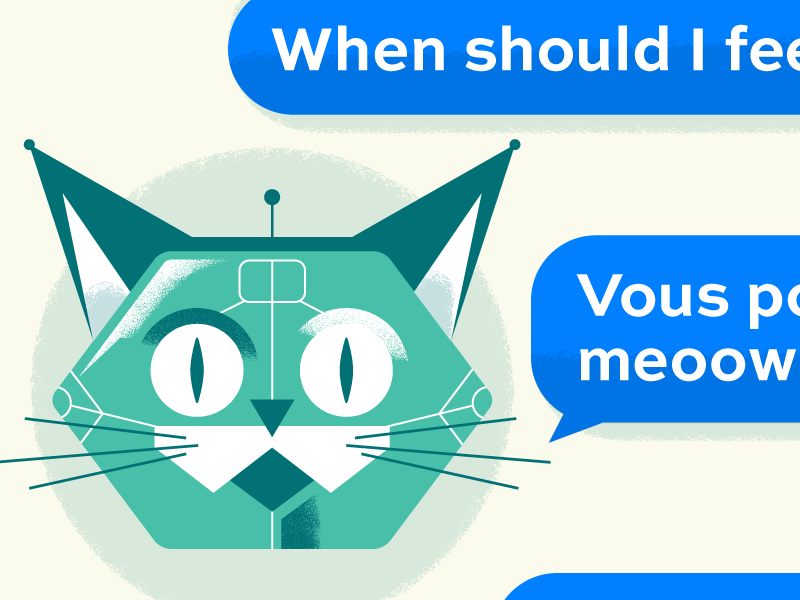 Chat bot v5