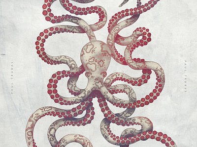 Octopus