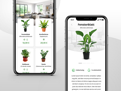 Mobile E-Commerce Concept artdirector concept design digital e commerce green mobile plant shop