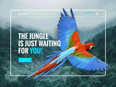 // The Jungle is waiting for you // Responsive Web Concept airbnb clean concept design online responsive screendesign ui ux webdesign