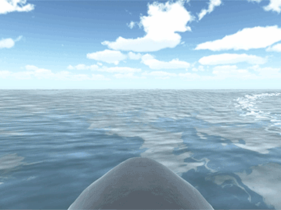 Shark Surfer game game design games shark shark surfer sharks surf surfers surfing unity unity 3d unity3d