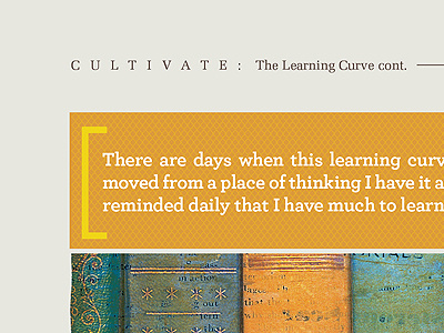 Learning Curve layout publication texture typography