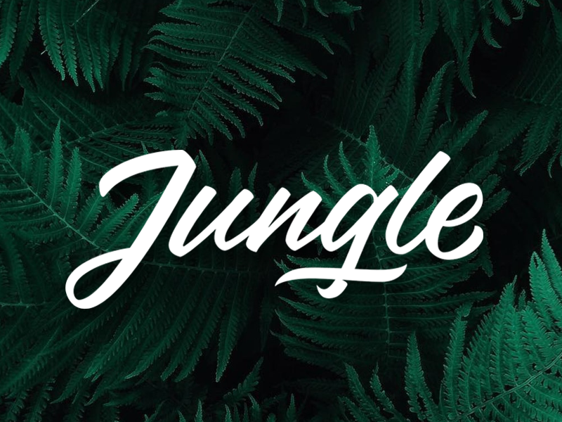 Jungle текст