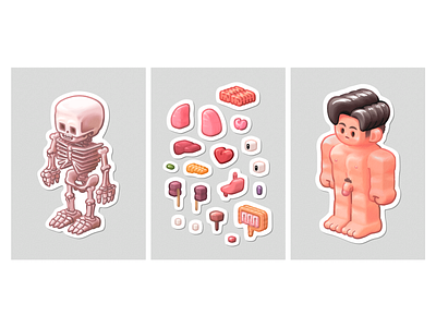 The Mysteries Of The Human Body character illustration