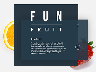 Special Fruit - Educational UX concept detail health interface menu ui ux website
